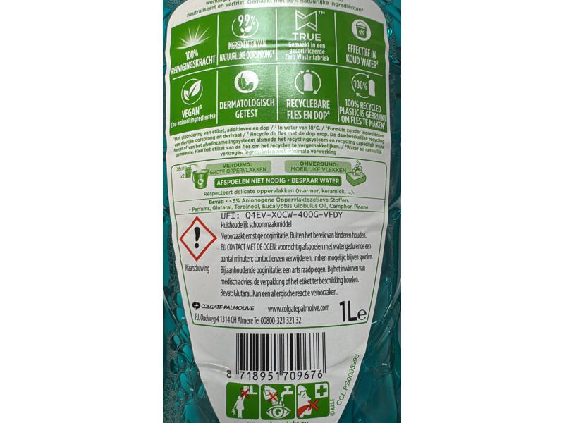 eucalyptus-back