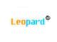 leopard-(2)-2