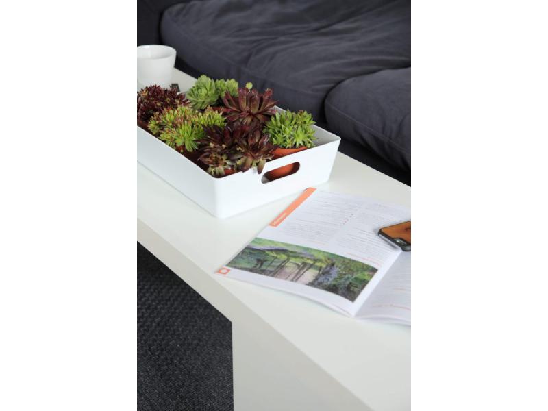 studio-basket-lounge6-1-683x1024